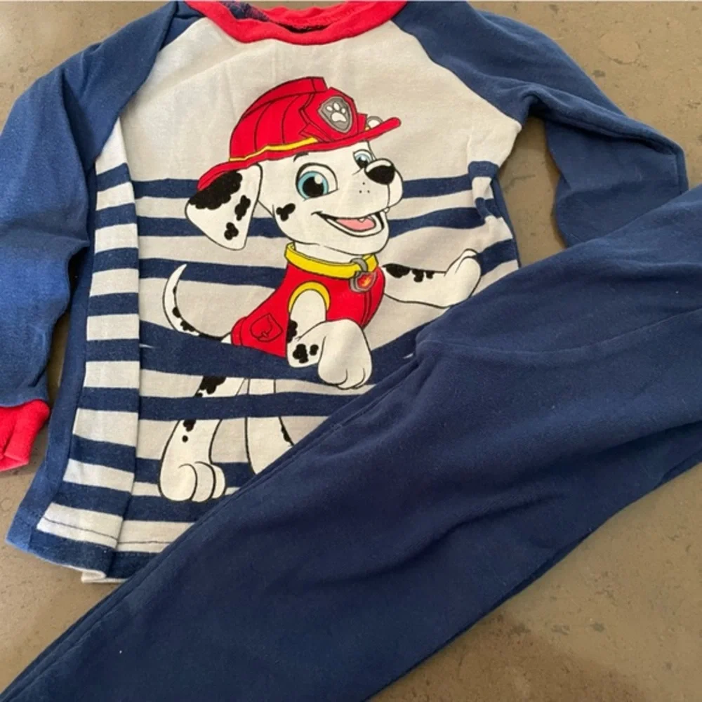 Nickelodeon paw patrol